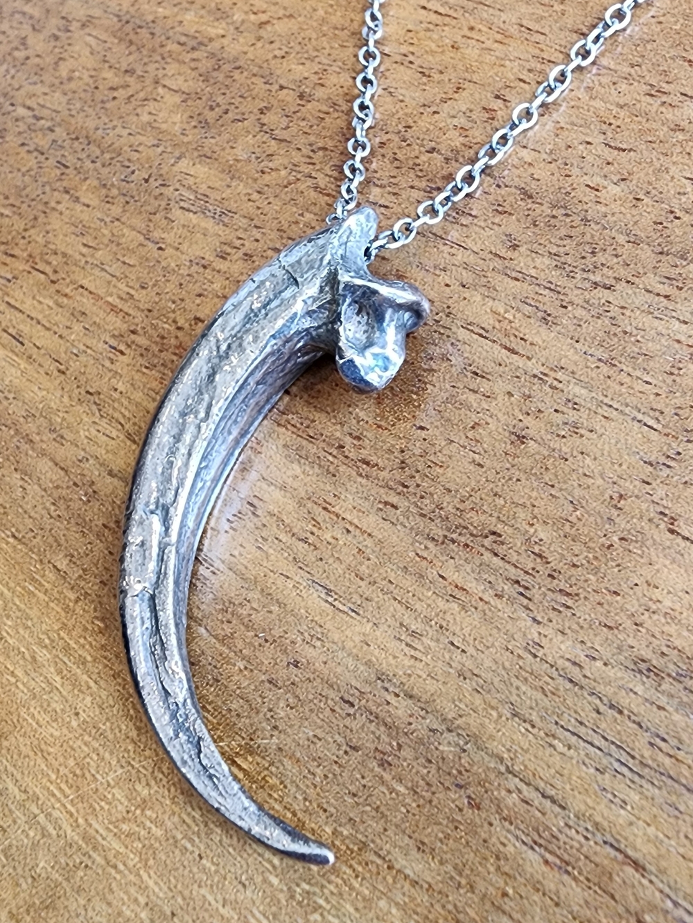 Pamela Love Rare Silver Eagle Talon Necklace - Picture 4 of 8